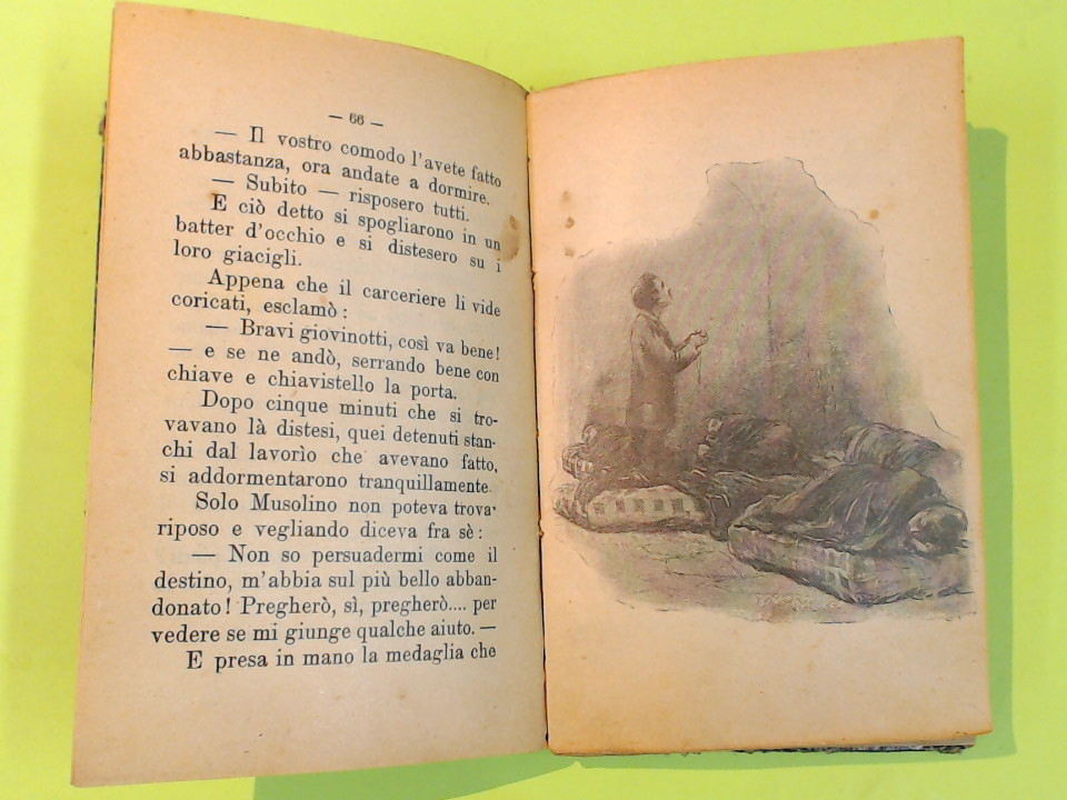 GIUSEPPE MUSOLINO + IL GATTO - immagine 3