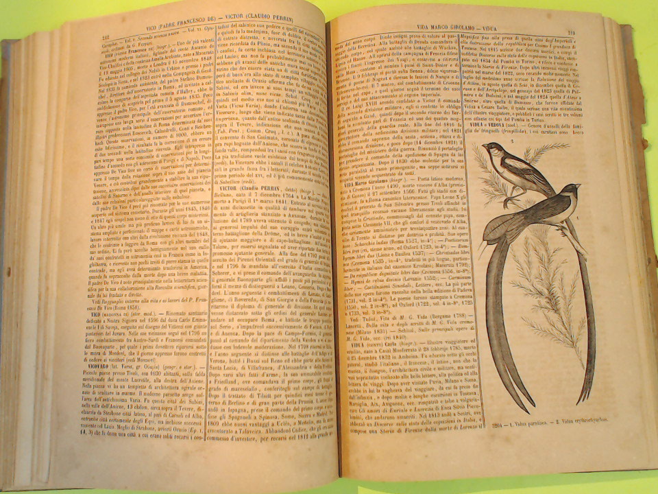 NUOVA ENCICLOPEDIA POPOLARE ITALIANA VOL XXIV - immagine 5