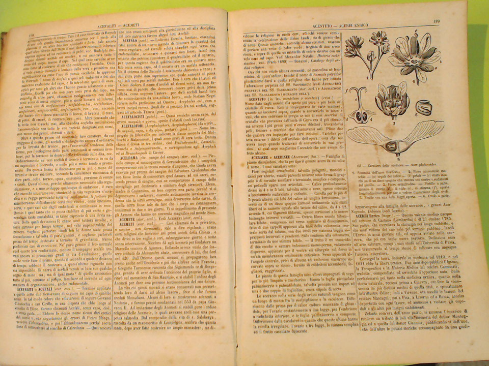 NUOVA ENCICLOPEDIA POPOLARE ITALIANA VOL I - immagine 4