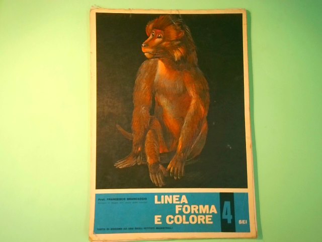 LINEA FORMA E COLORE 4