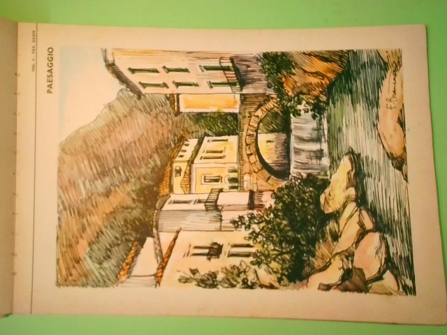 LINEA FORMA E COLORE 4 - immagine 5