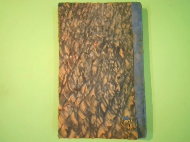 TEMI SVOLTI E DA SVOLGERE - immagine 2