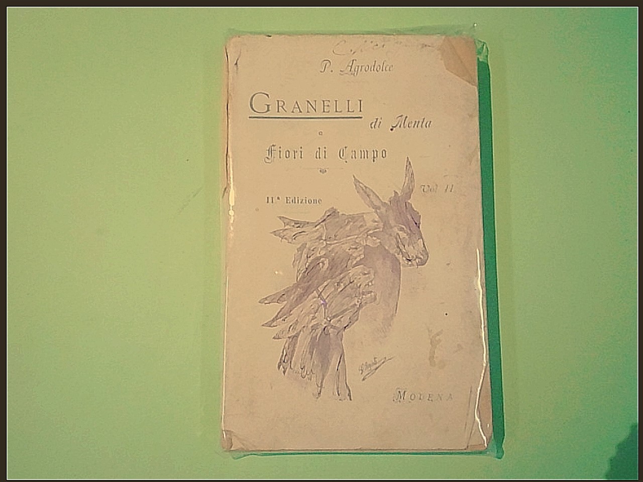 GRANELLI DI MENTA E FIORI DI CAMPO VOL II