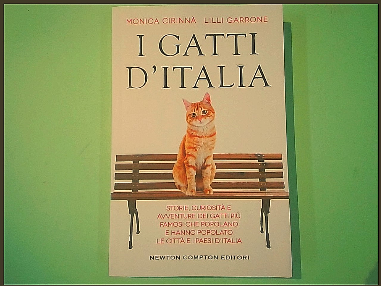 I GATTI D'ITALIA