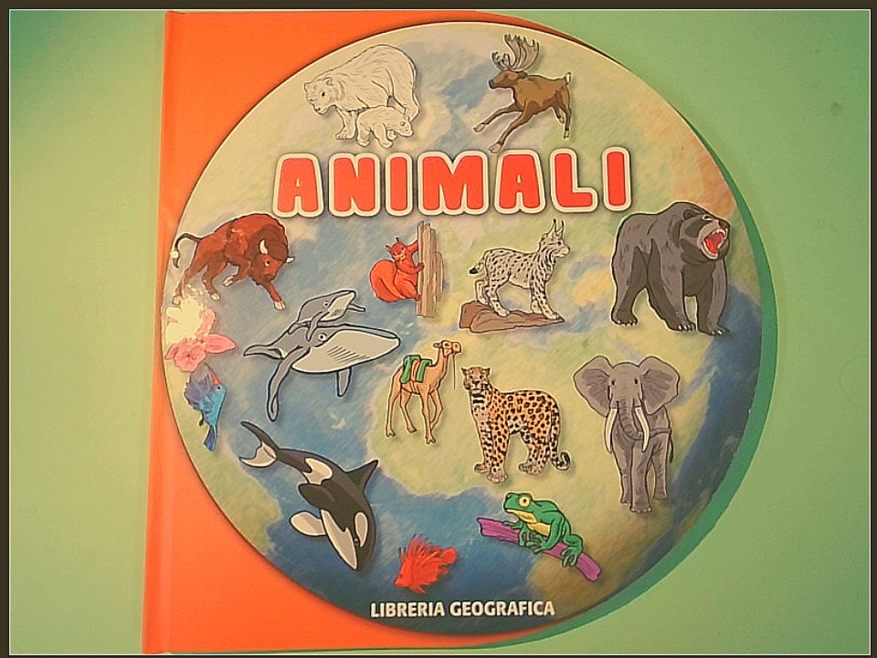 ANIMALI