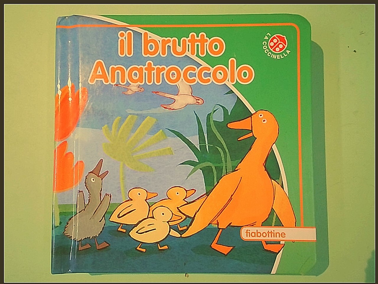 IL BRUTTO ANATROCCOLO