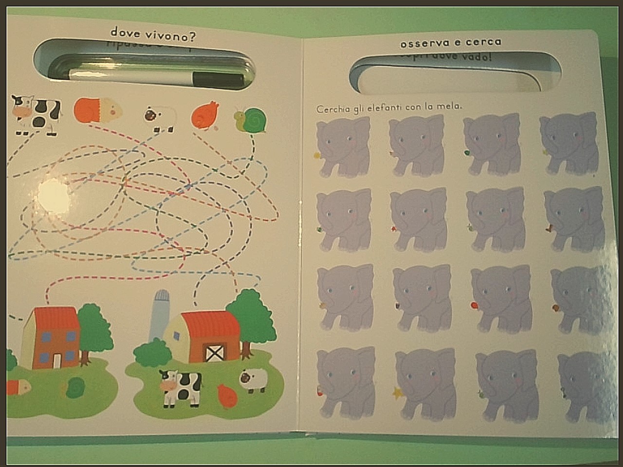 GIOCO SCOPRO IMPARO - immagine 2