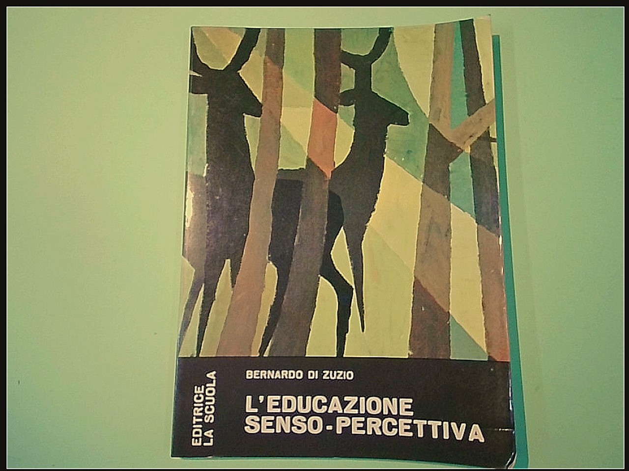 L'EDUCAZIONE SENSO-PERCETTIVA