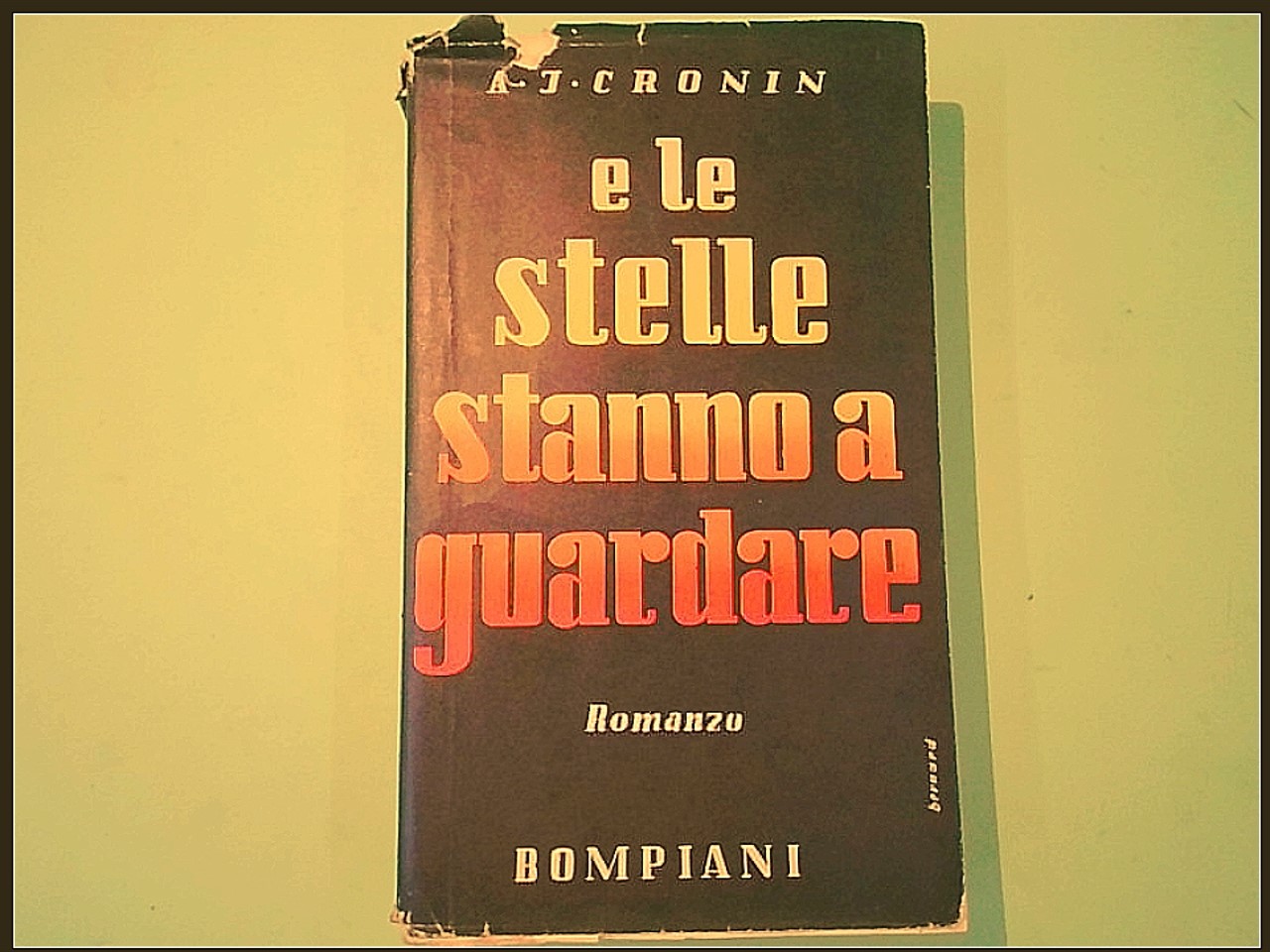 E LE STELLE STANNO A GUARDARE