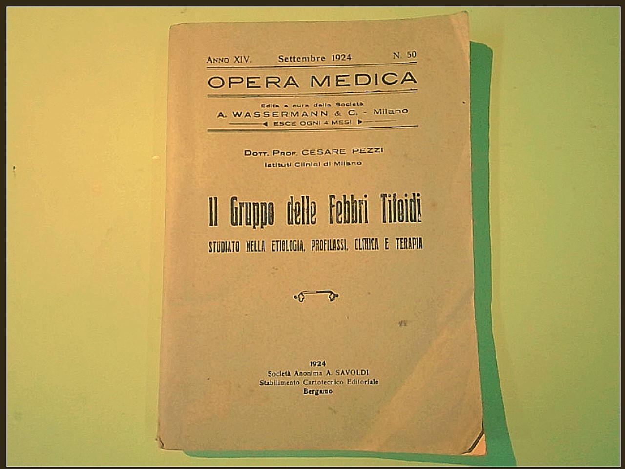 IL GRUPPO DELLE FEBBRI TIFOIDI PEZZI