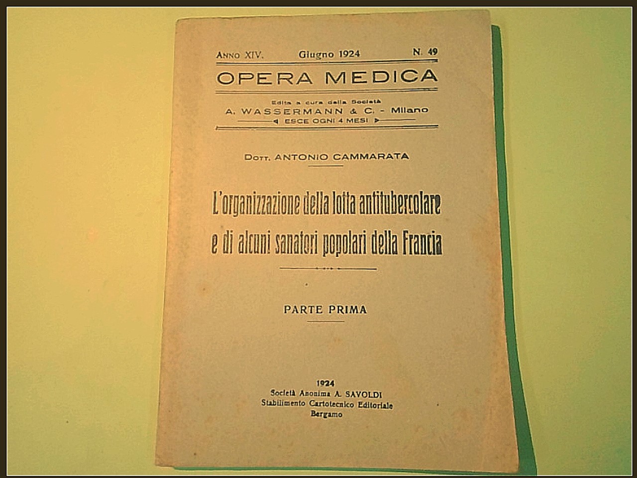 L'ORGANIZZAZIONE DELLA LOTTA ANTITUBERCOLARE PARTE I
