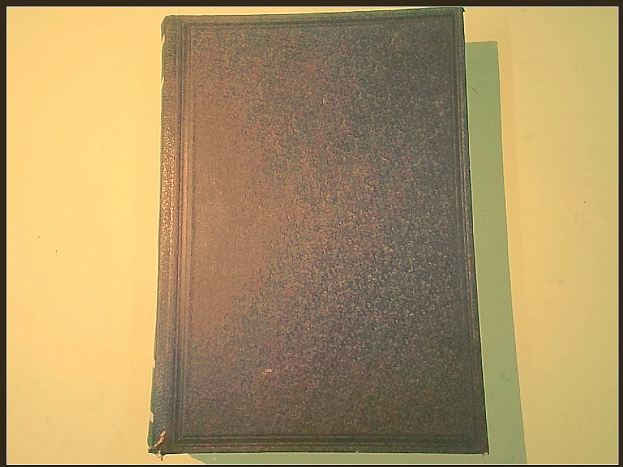 TRATTATO SINTETICO DI PATOLOGIA E CLINICA MEDICA VOL. II