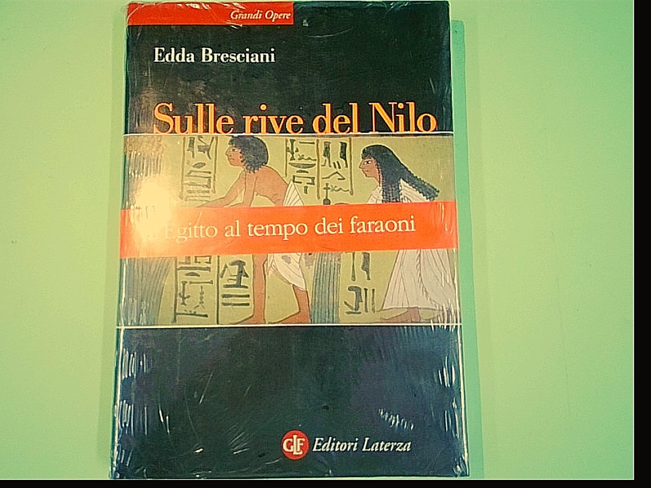SULLE RIVE DEL NILO