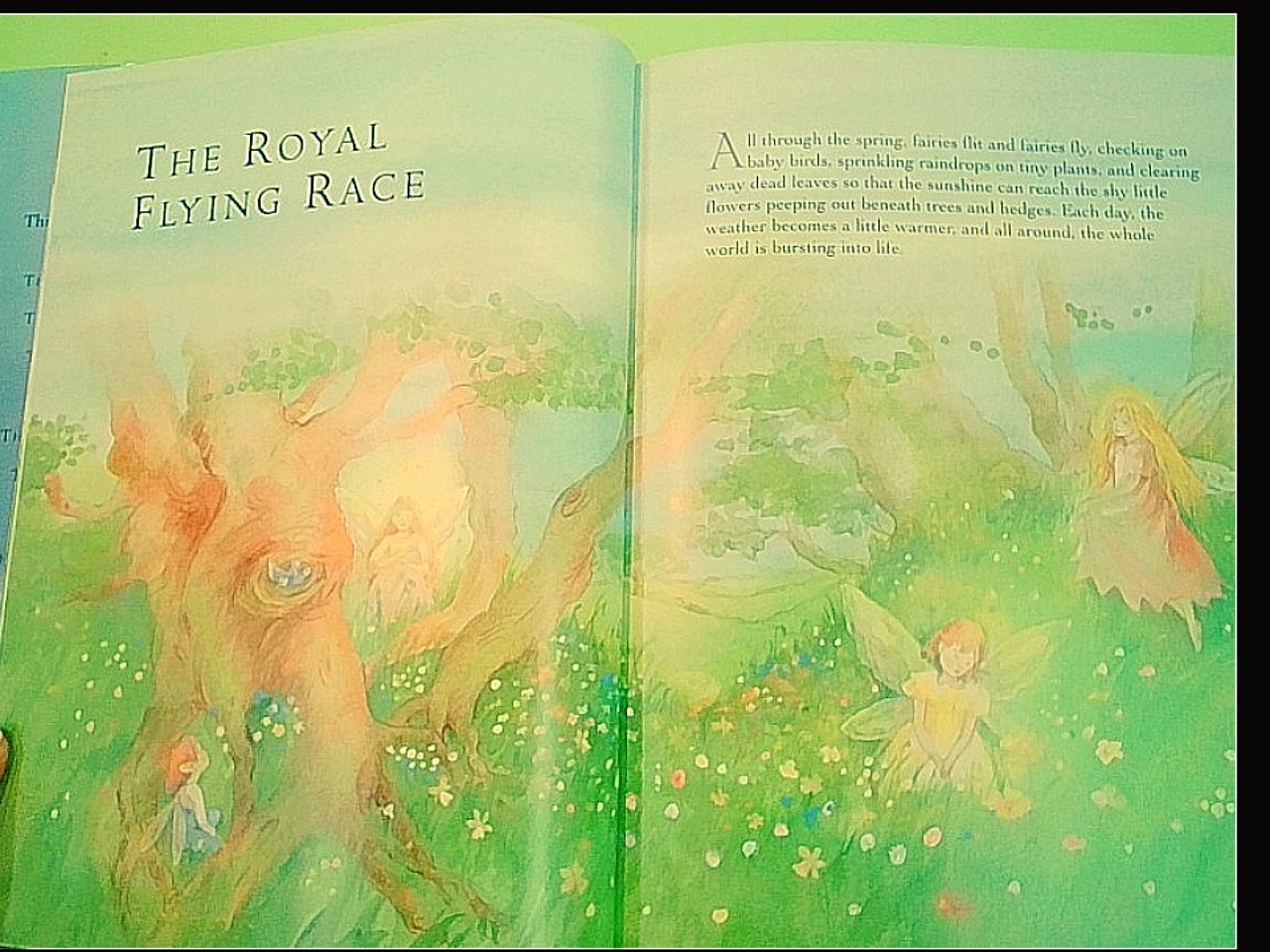 THE MAGICAL WORLD OF FAIRIES - immagine 2