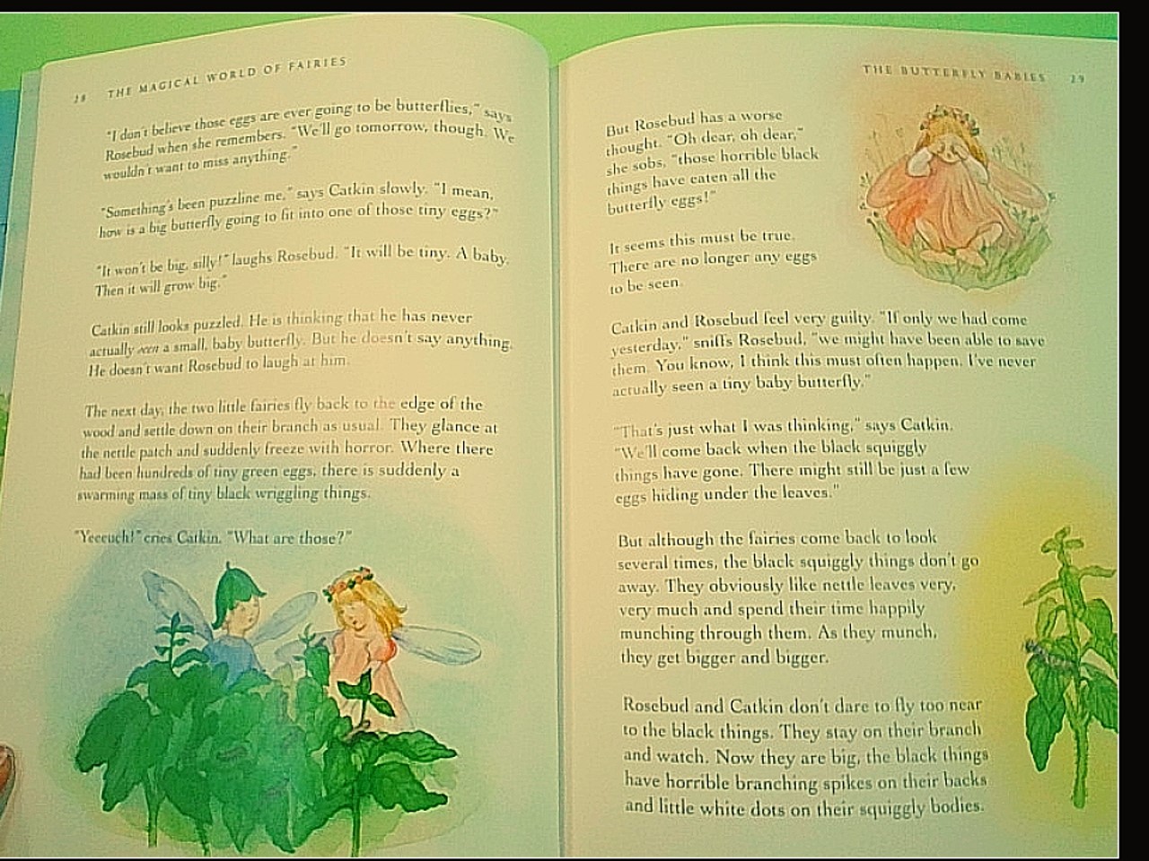 THE MAGICAL WORLD OF FAIRIES - immagine 3