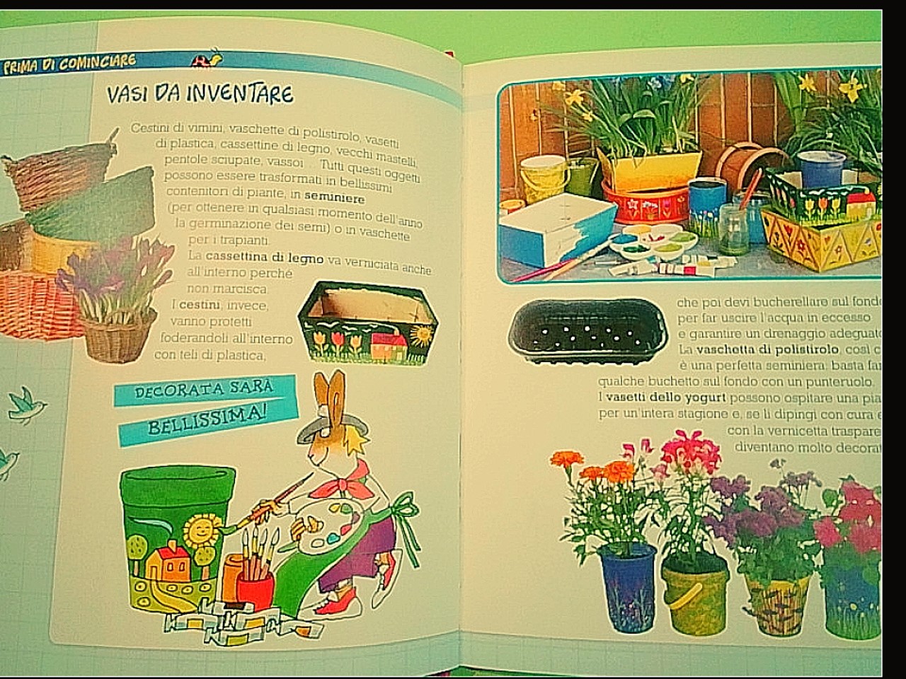 IL MIO GIARDINO - immagine 2