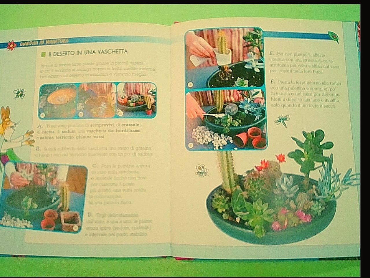 IL MIO GIARDINO - immagine 3