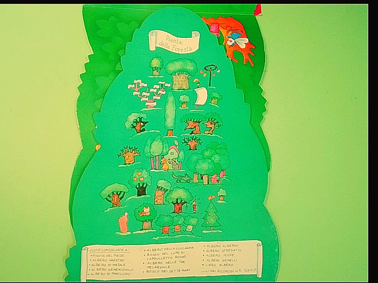 IL LIBRO ALBERO - immagine 3