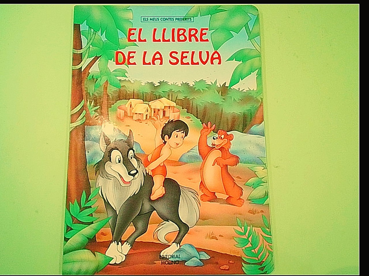 EL LLIBRE DE LA SELVA