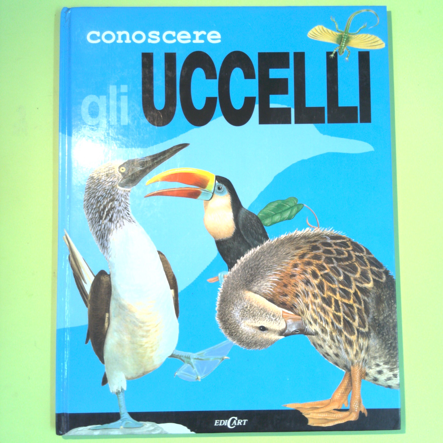 CONOSCERE GLI UCCELLI