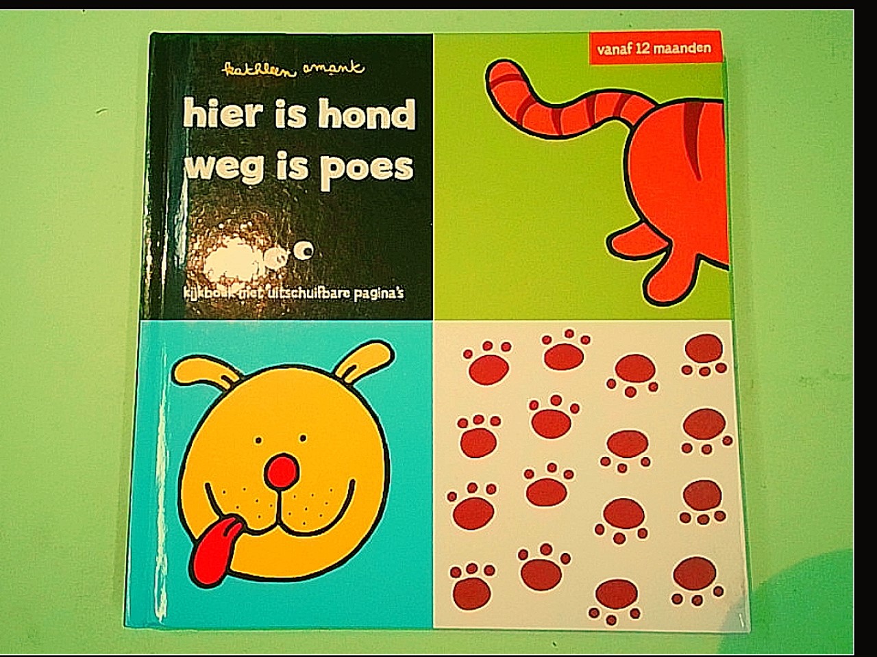 HIER IS HOND WEG IS POES