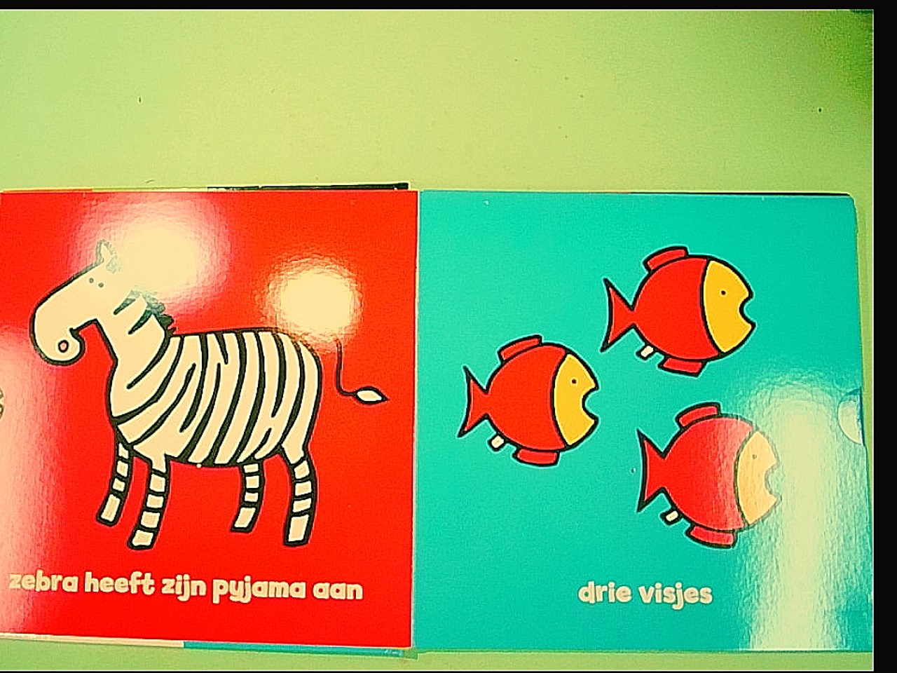 HIER IS HOND WEG IS POES - immagine 3