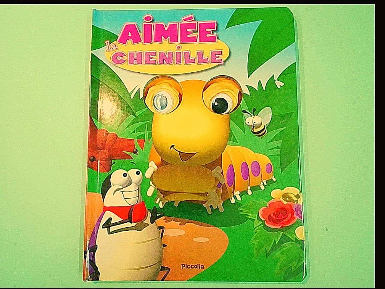 AIMEE LA CHENILLE