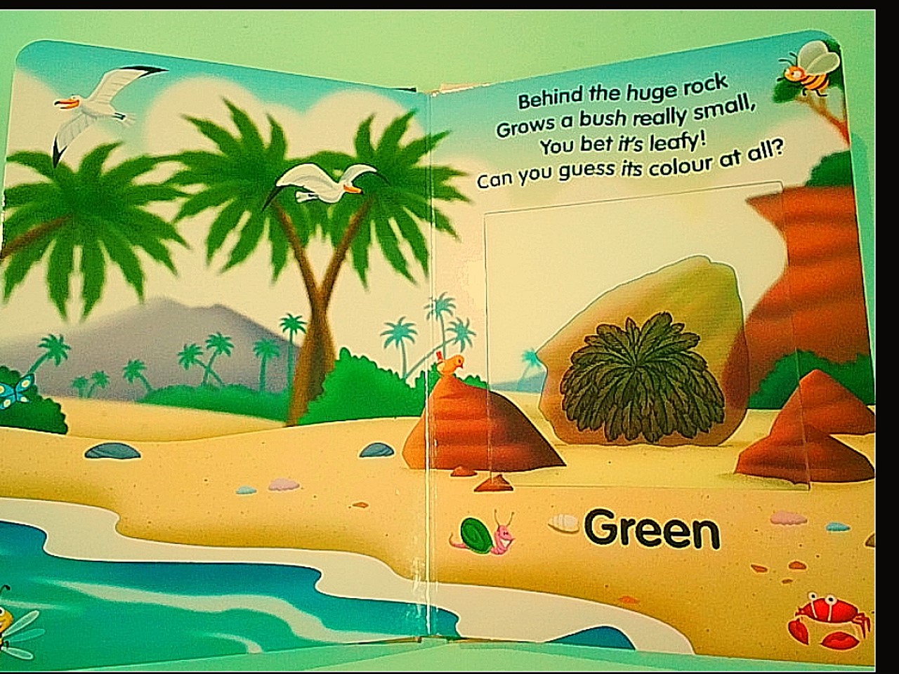 LEARNING COLOURS ON THE BEACH - immagine 2