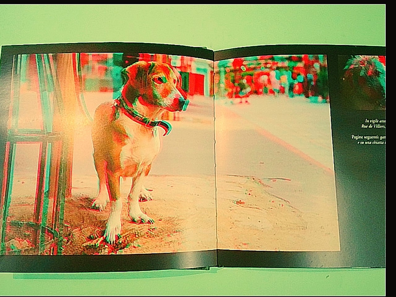 BESTIARIO DI CITTÀ CON OCCHIALI 3D - immagine 2