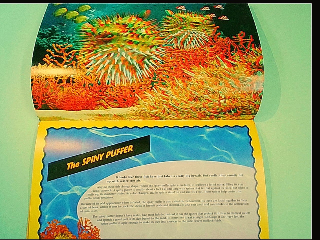 EXPLORING THE OCEAN WITH 3D IMAGES AND GLASSES - immagine 3