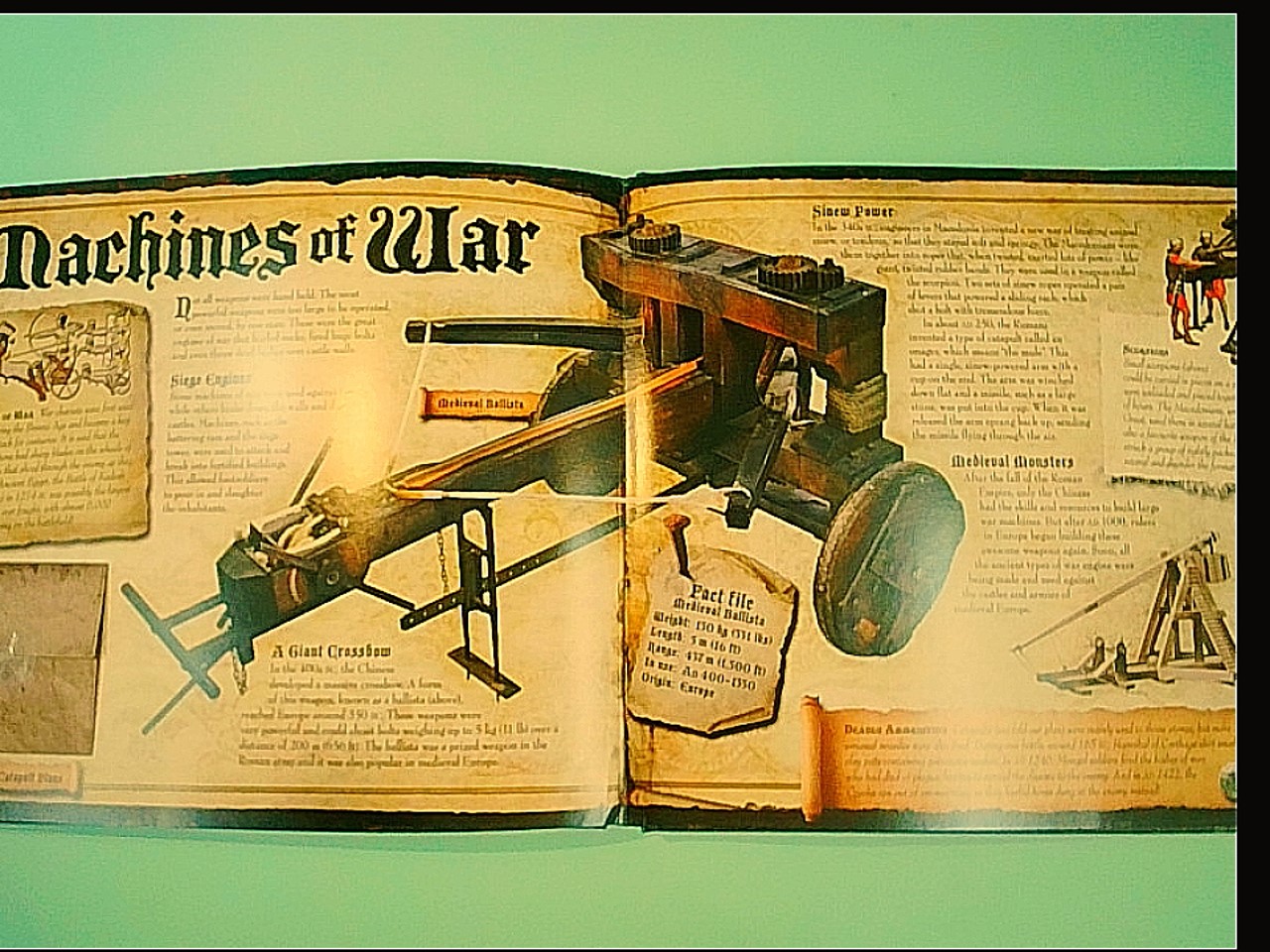 WEAPONS OF WAR - immagine 2