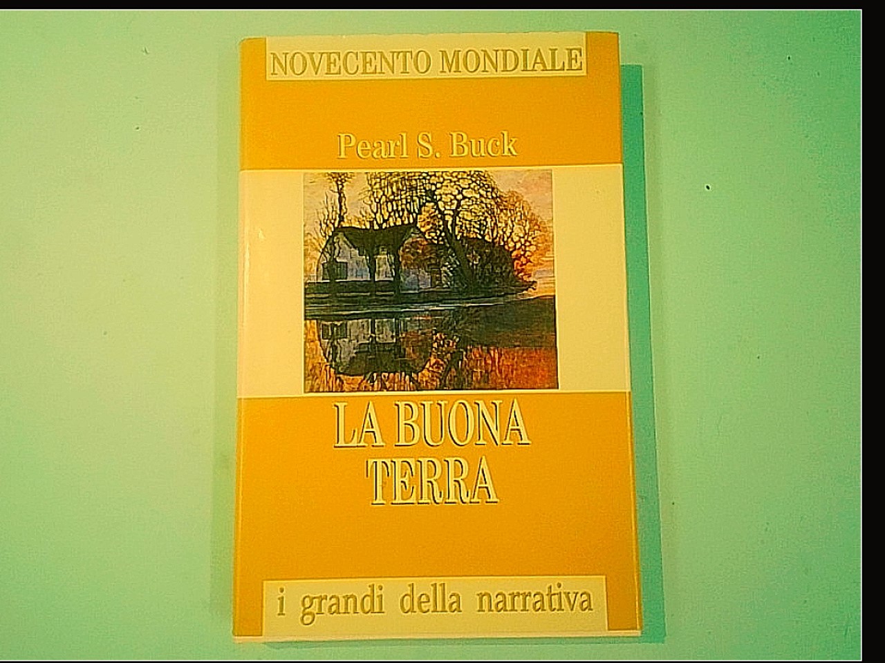 LA BUONA TERRA