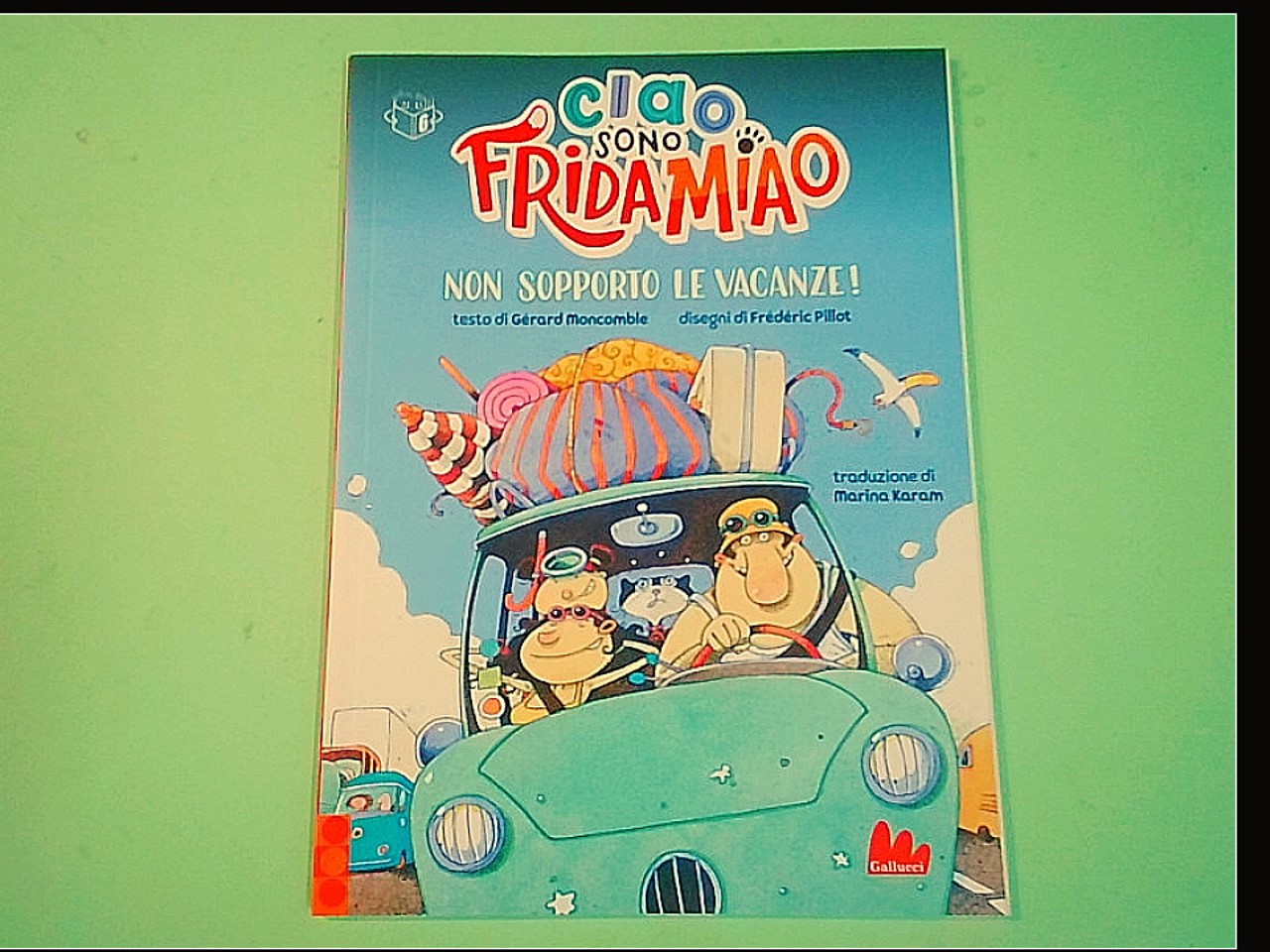 CIAIO SONO FRIDAMIAO NON SOPPORTO LE VACANZE