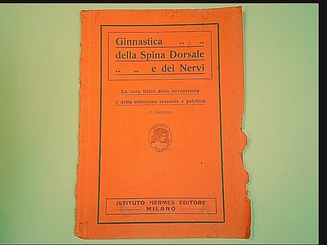 GINNASTICA DELLA SPINA DORSALE E DEI NERVI