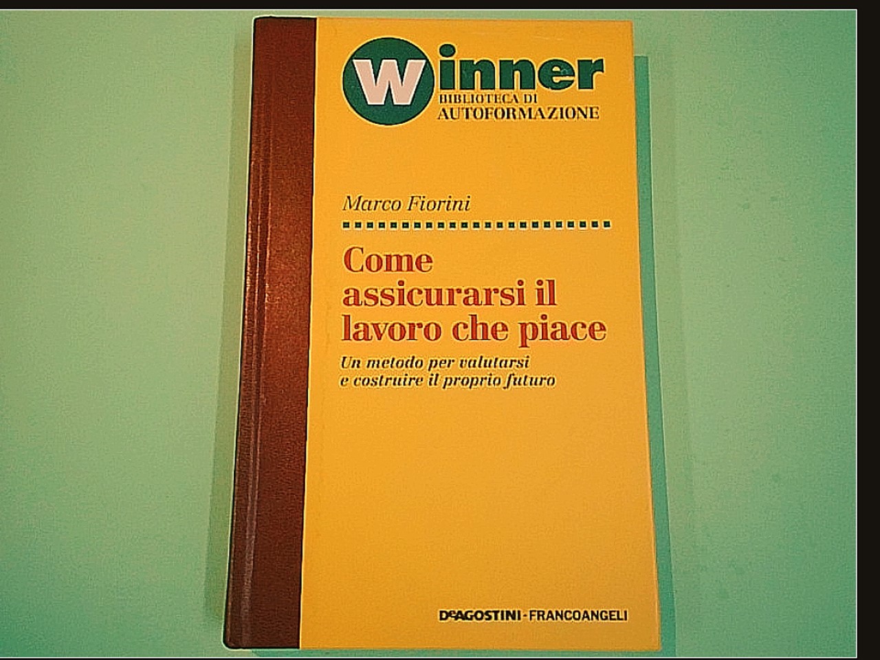 COME ASSICURARSI IL LAVORO CHE PIACE