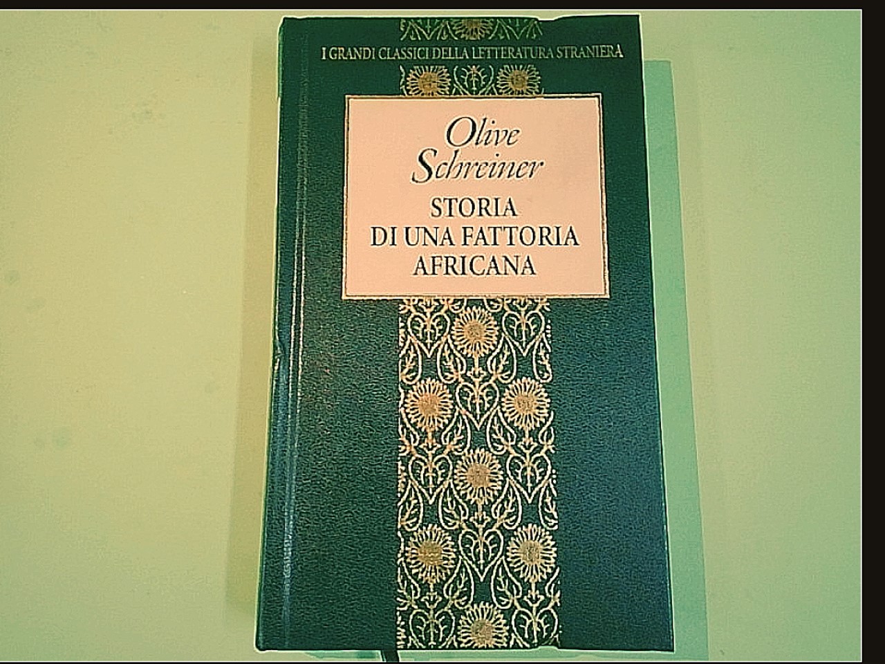 STORIA DI UNA FATTORIA AFRICANA