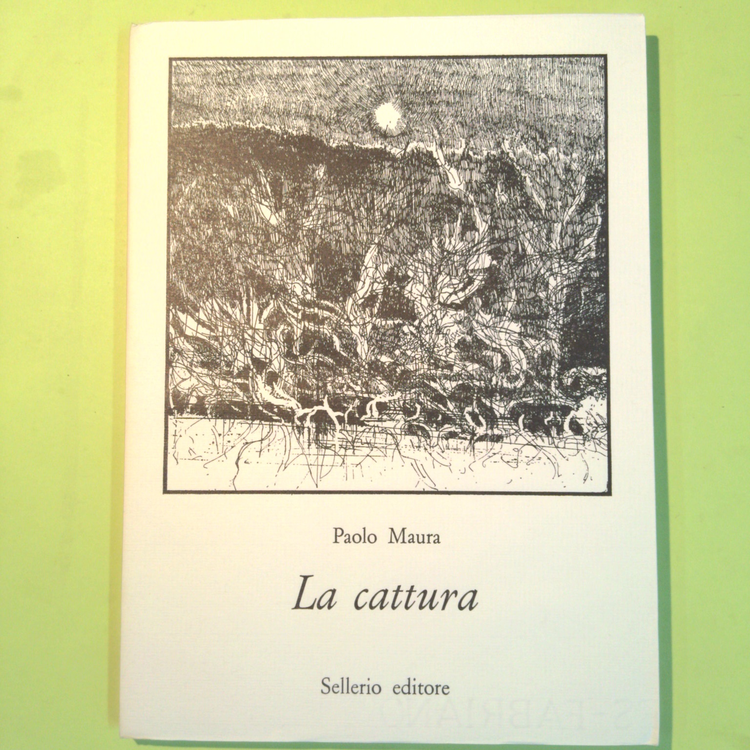 COFANETTO 11 VOLUMI SELLERIO ANNI 70 AUTORI VARI - immagine 6