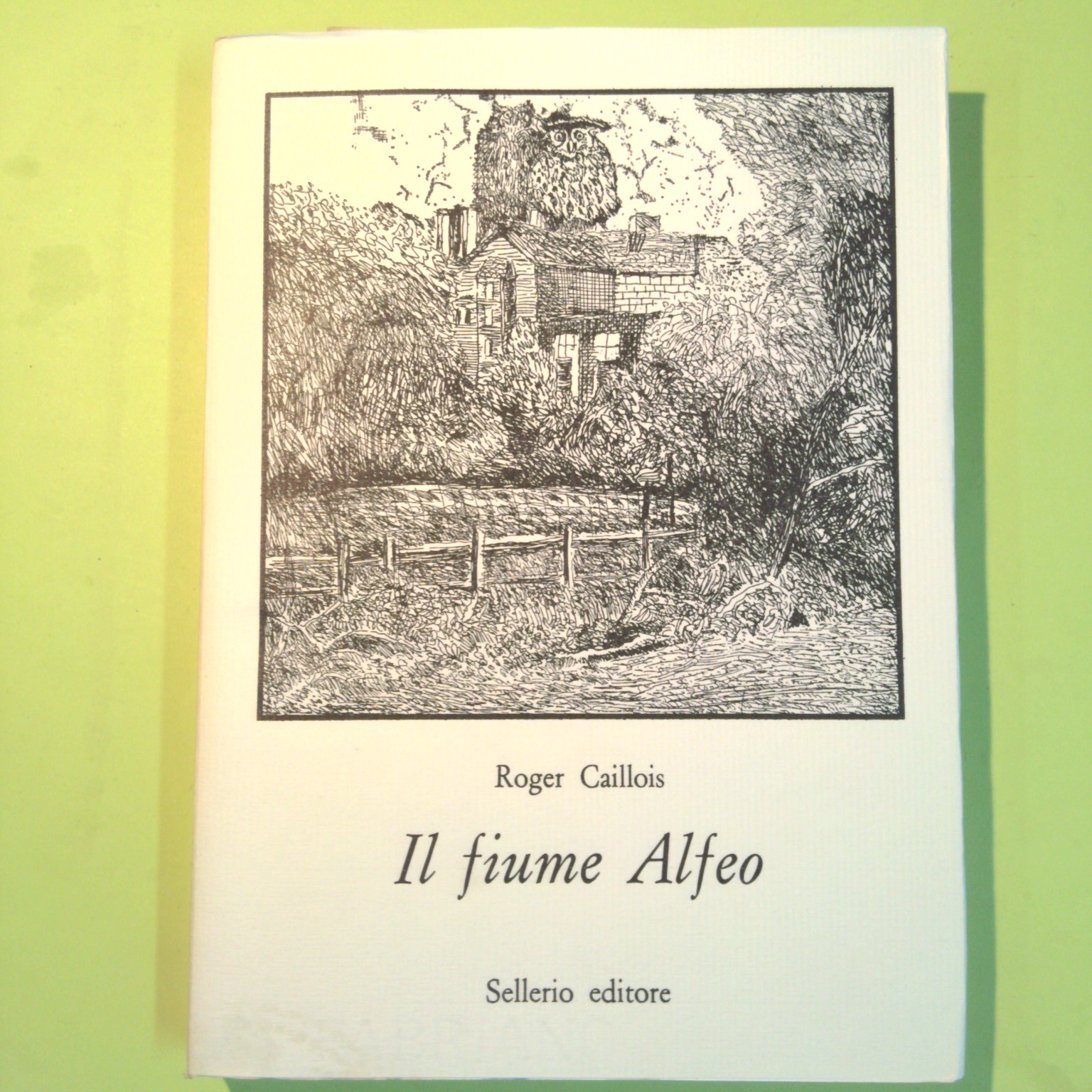 COFANETTO 11 VOLUMI SELLERIO ANNI 70 AUTORI VARI - immagine 5