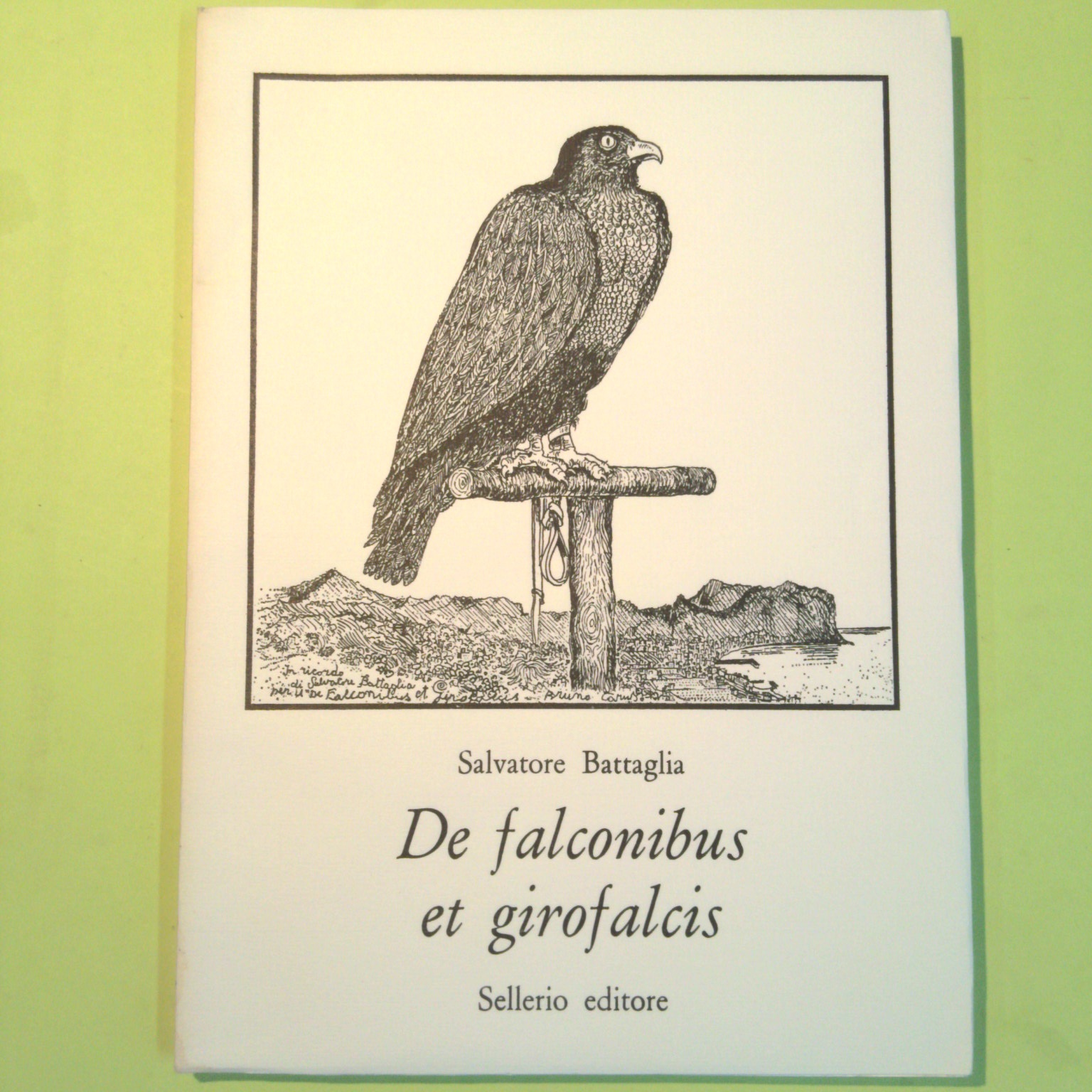 COFANETTO 11 VOLUMI SELLERIO ANNI 70 AUTORI VARI - immagine 12