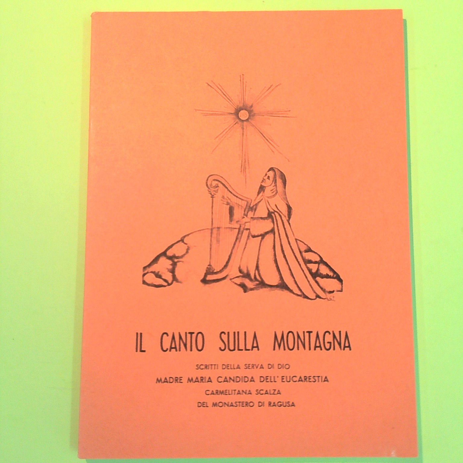 IL CANTO SULLA MONTAGNA