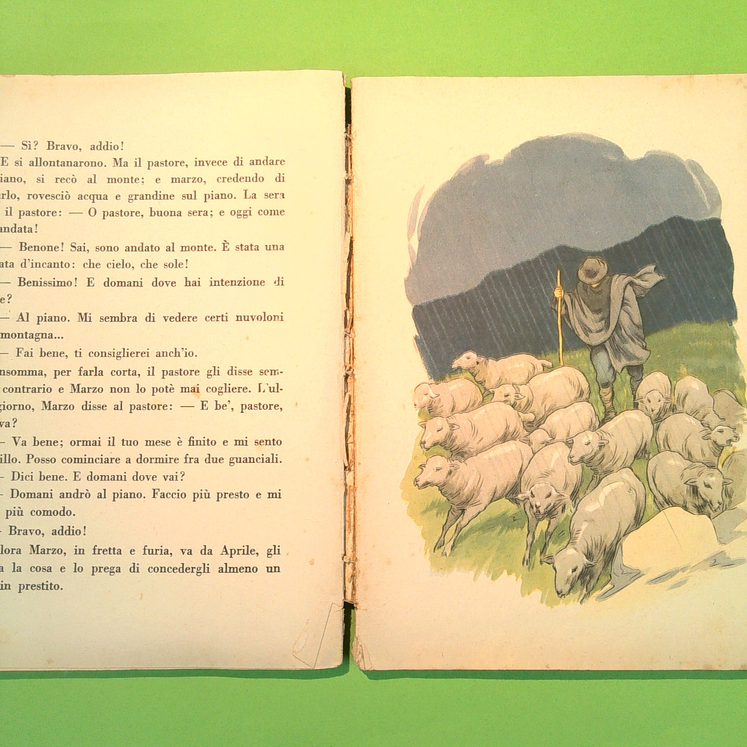 LA VITA IN FIORE LETTURE PER LA TERZA CLASSE - immagine 3