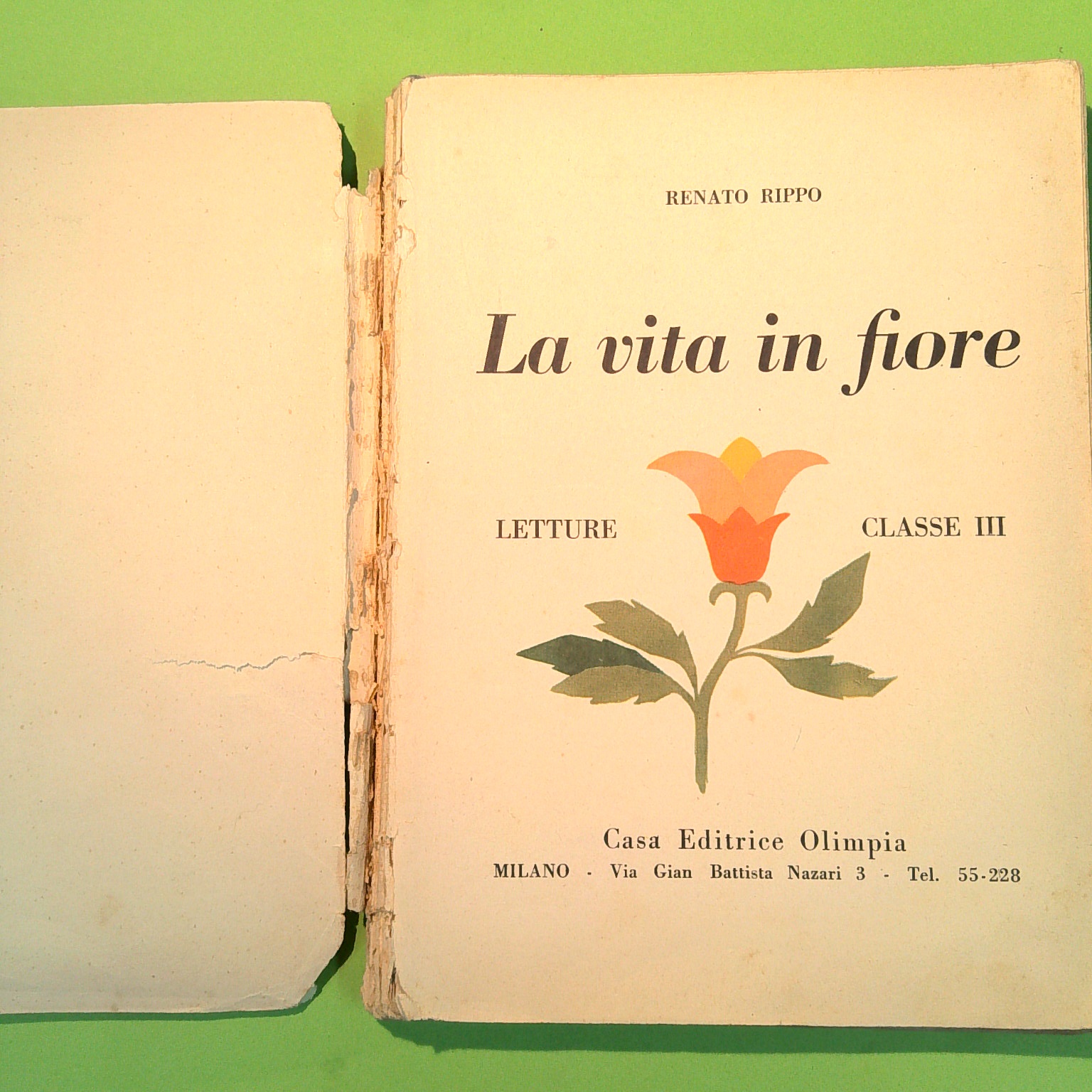 LA VITA IN FIORE LETTURE PER LA TERZA CLASSE - immagine 2