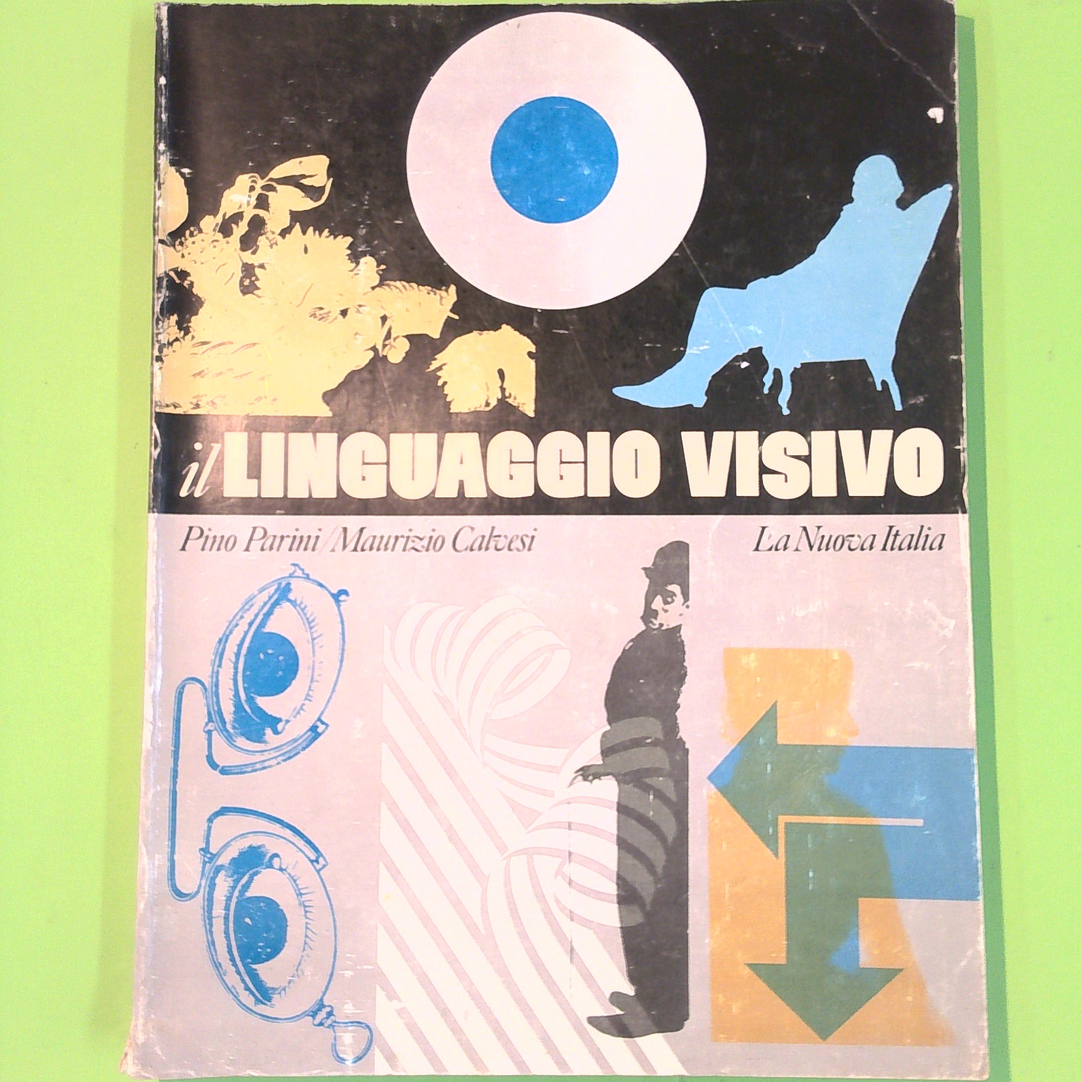 IL LINGUAGGIO VISIVO