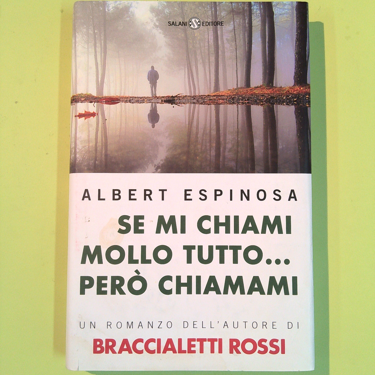 SE MI CHIAMI MOLLO TUTTO PERÒ CHIAMAMI