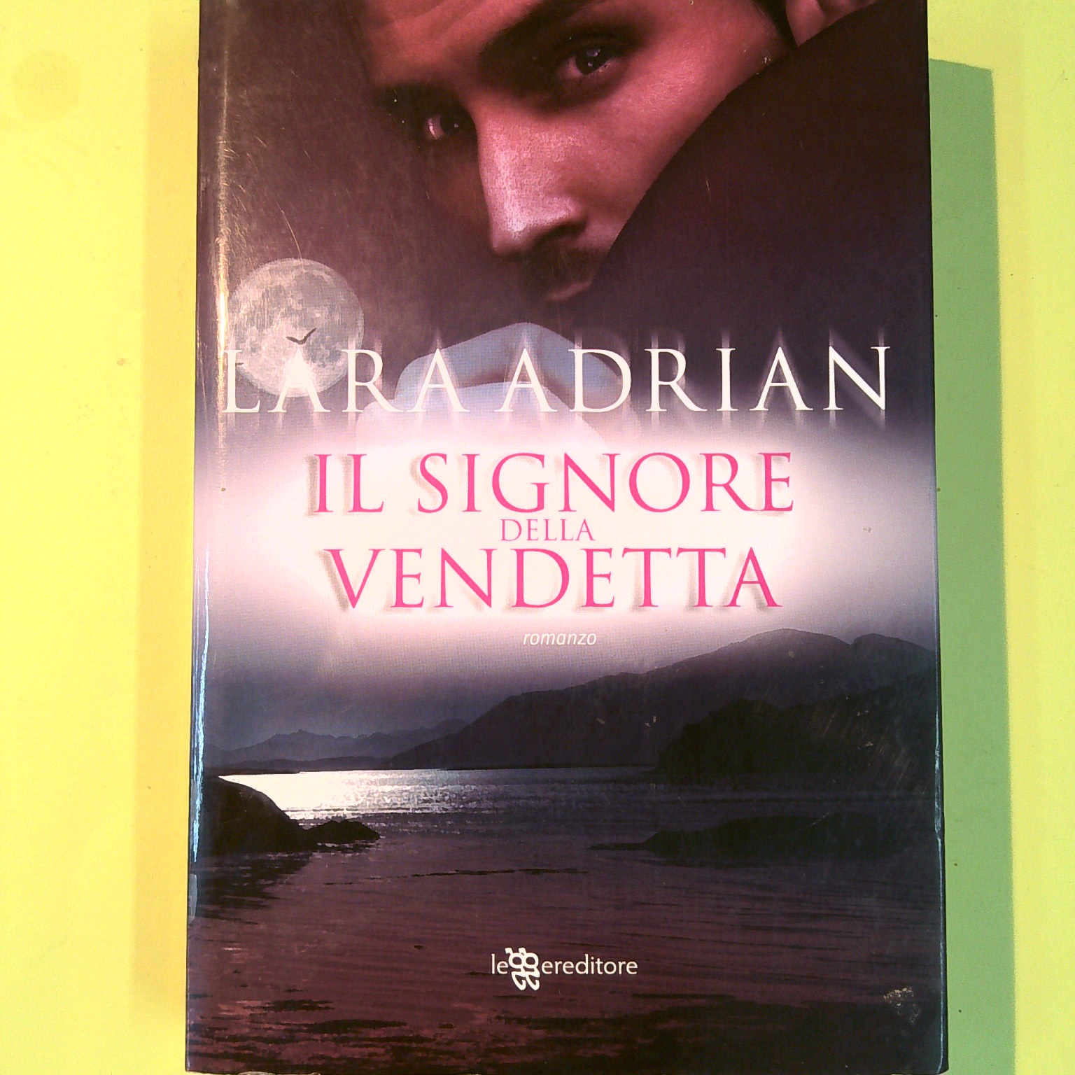 IL SIGNORE DELLA VENDETTA