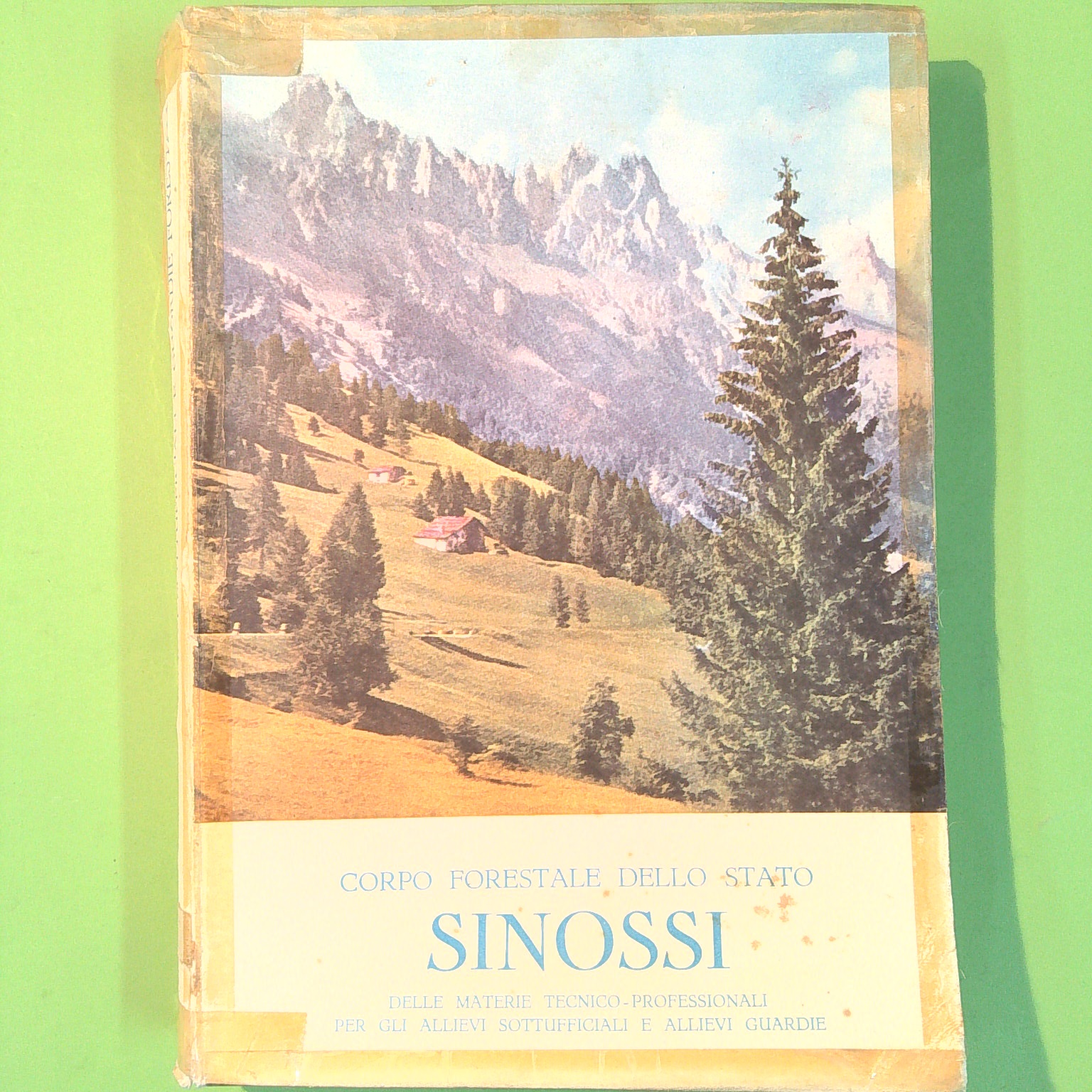 SINOSSI DELLE MATERIE TECNICO PROFESSIONALI