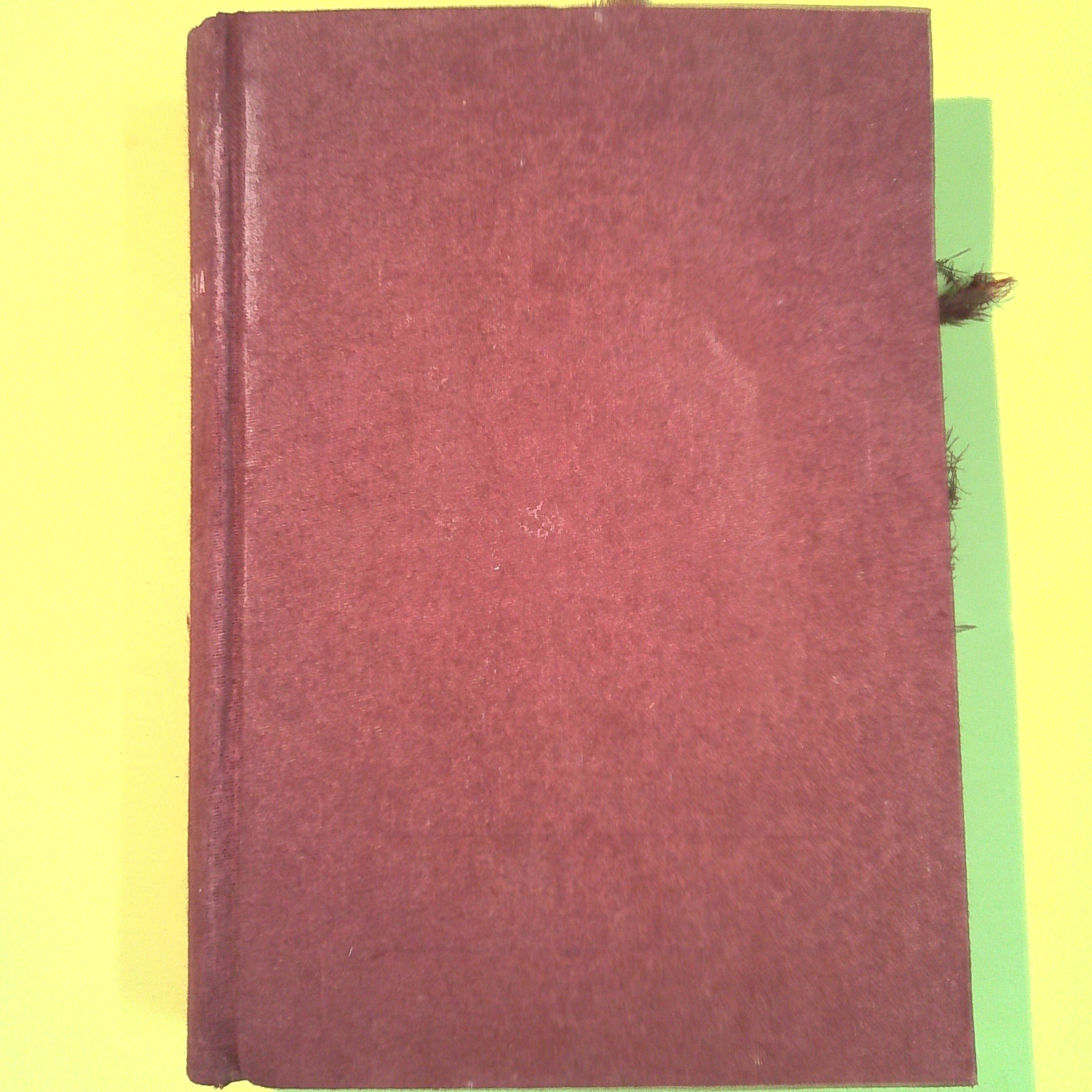 SEMIOLOGIA MEDICA FISICA E FUNZIONALE