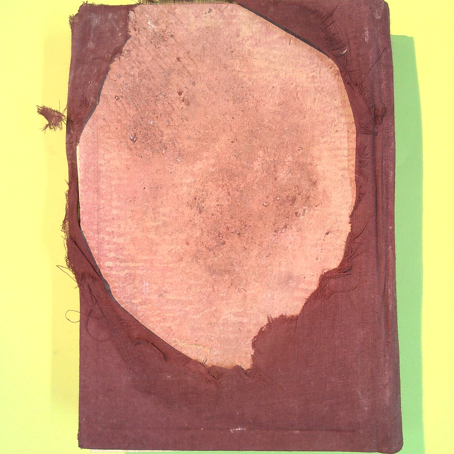 SEMIOLOGIA MEDICA FISICA E FUNZIONALE - immagine 2