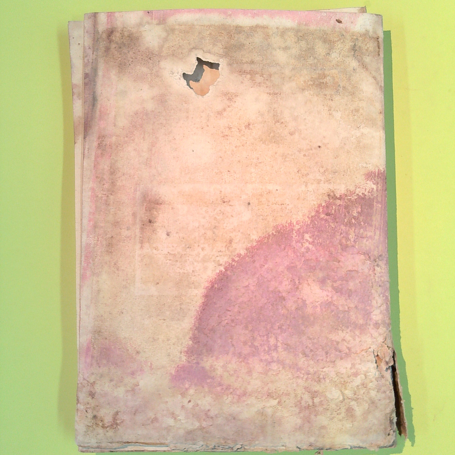 FLORIDIA AUTOGRAFATO - immagine 2