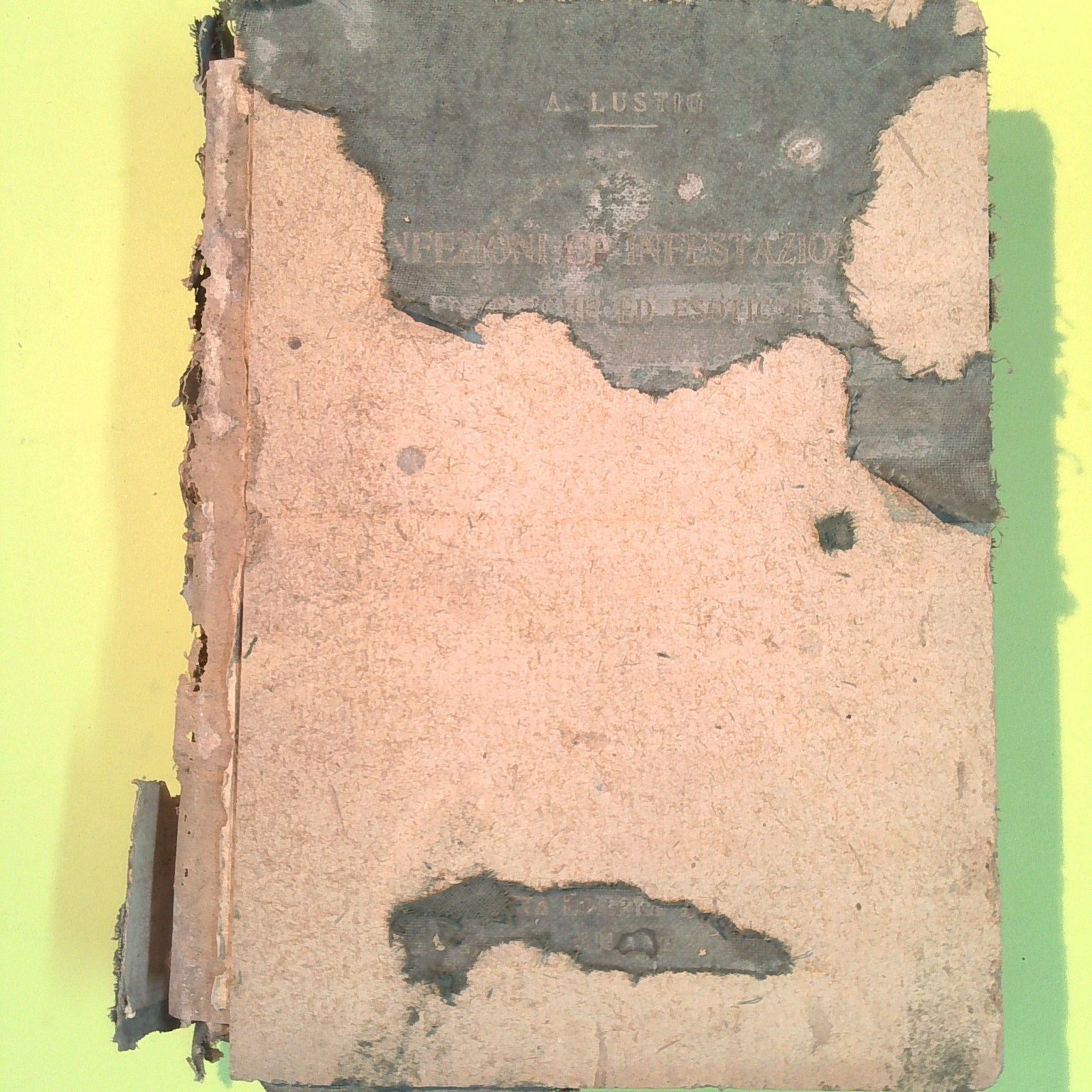 INFEZIONI ED INFESTAZIONI ENDEMICHE ED ESOTICHE